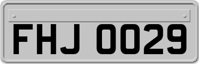 FHJ0029