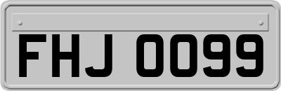 FHJ0099