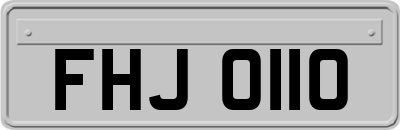 FHJ0110