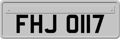FHJ0117