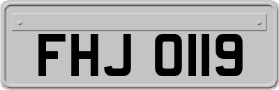 FHJ0119