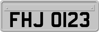 FHJ0123