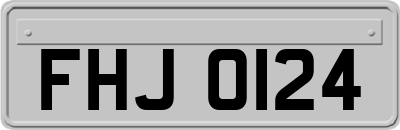FHJ0124