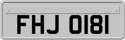 FHJ0181
