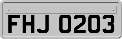 FHJ0203