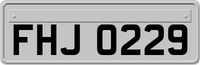 FHJ0229