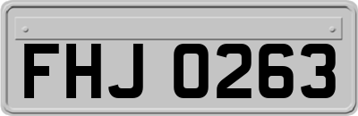 FHJ0263