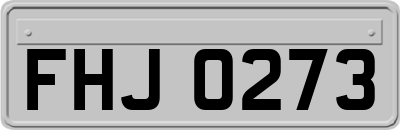 FHJ0273