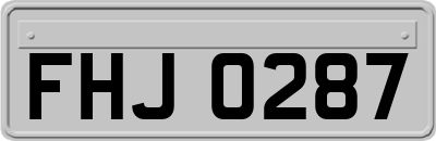 FHJ0287