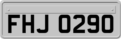 FHJ0290