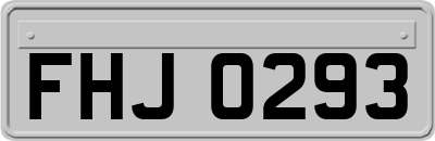 FHJ0293
