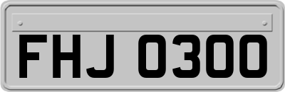 FHJ0300