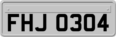FHJ0304