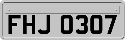 FHJ0307