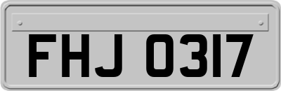 FHJ0317