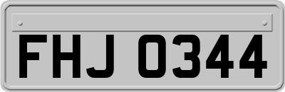 FHJ0344