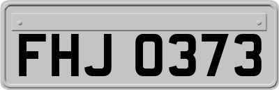 FHJ0373