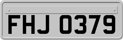 FHJ0379