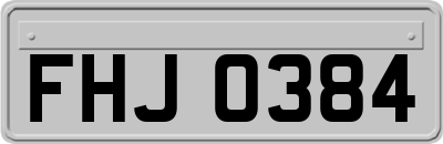 FHJ0384
