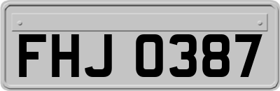 FHJ0387