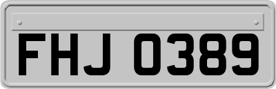 FHJ0389