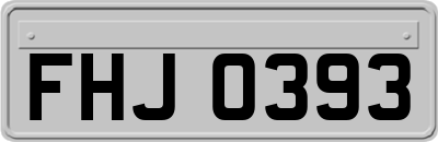 FHJ0393