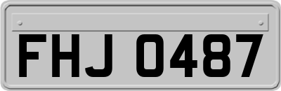 FHJ0487