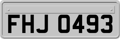 FHJ0493