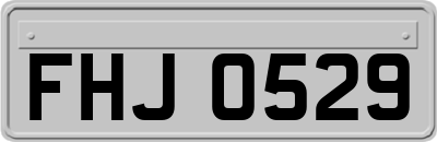 FHJ0529