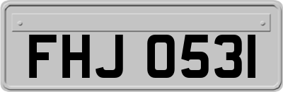FHJ0531
