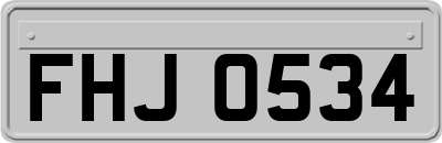 FHJ0534