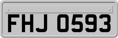 FHJ0593