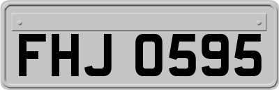 FHJ0595