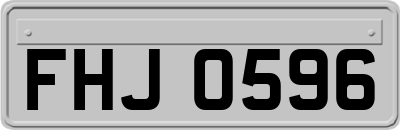 FHJ0596