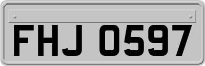 FHJ0597