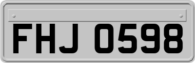 FHJ0598