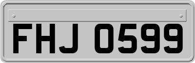 FHJ0599