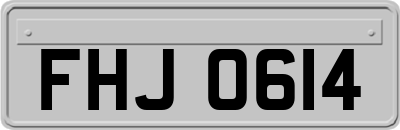 FHJ0614