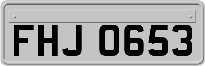 FHJ0653