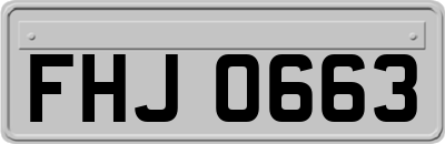 FHJ0663