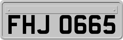 FHJ0665