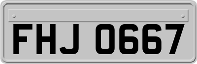 FHJ0667