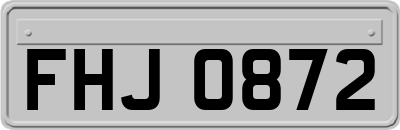 FHJ0872