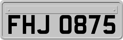 FHJ0875