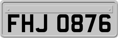 FHJ0876