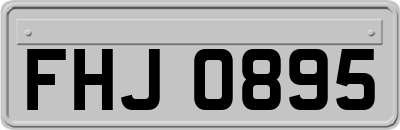 FHJ0895