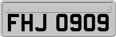 FHJ0909