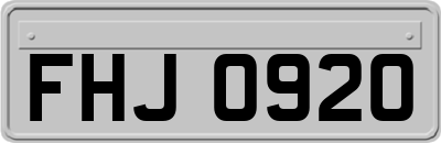 FHJ0920