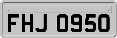 FHJ0950