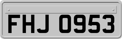 FHJ0953